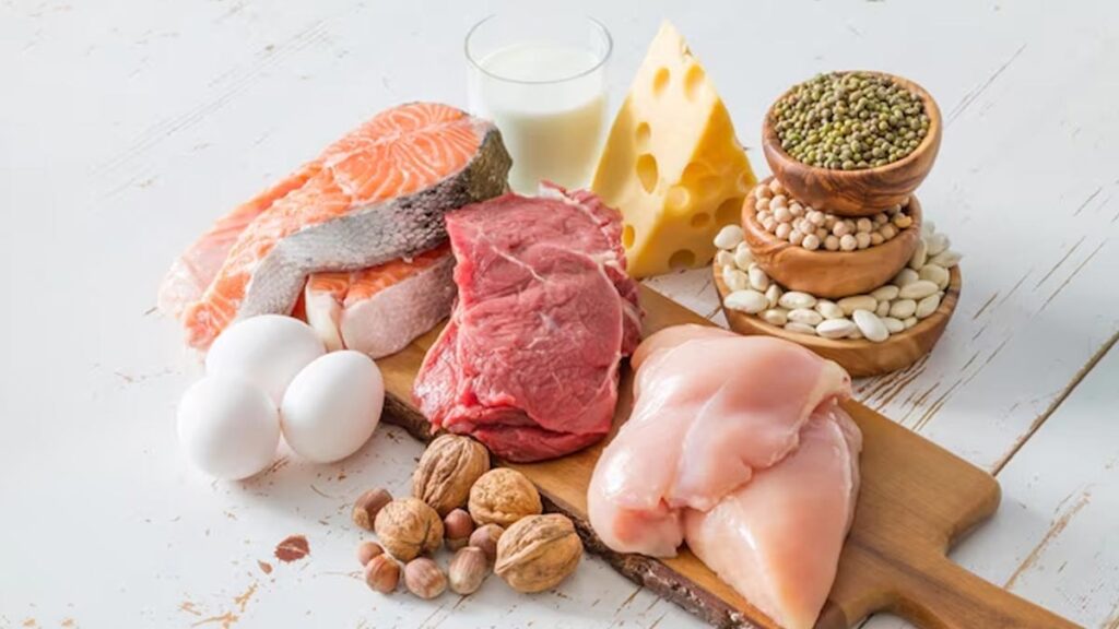 What Is the Carnivore Diet