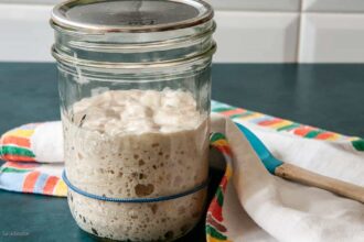 how to make sourdough starter recipe​